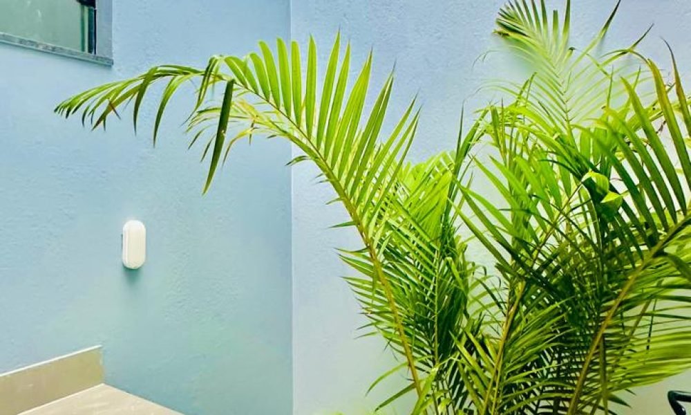 WhatsApp Image 2025-11-27 at 09.40.34 (3)